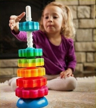 گردونه هوش نیکو